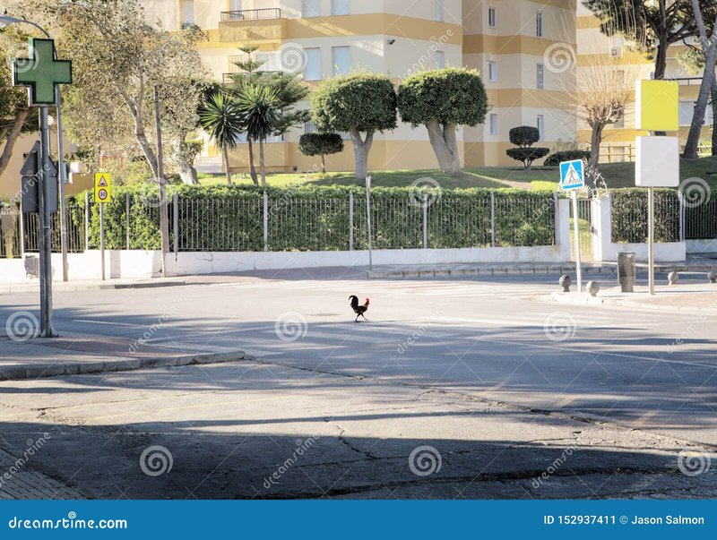 Spain - jugar chicken road